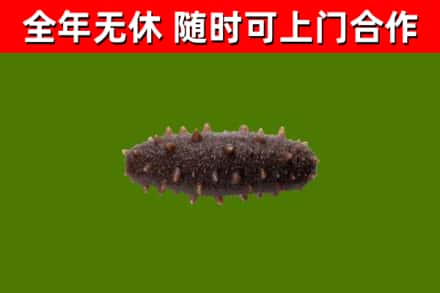 卡若区烟酒回收干海参.jpg